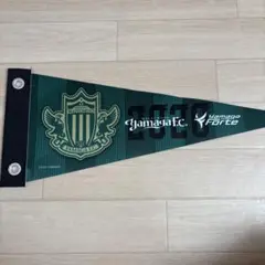 松本山雅FCペナント2020