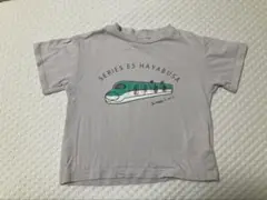 petit main はやぶさ　100