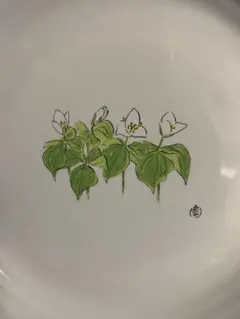 六花亭　坂本直行画伯の大皿