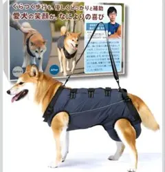 Item thumbnail for item c3fb1cb1-68a4-4e63-9ba7-a72a699327b4