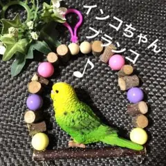 インコちゃんウッドブランコカラフルビーズ