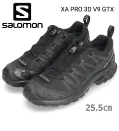 ★【国内正規品・新品】サロモン　XA PRO 3D V9 GTX　25.5㎝
