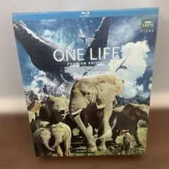 Item thumbnail for item 78f805bf-3b56-4f02-abf8-038a12300e59