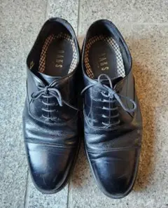 Item thumbnail for item 9fa5a024-f065-4207-bbb8-17332869ae2f