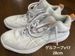 【asics 28cm】バスケットシューズ　ゲルフープv17