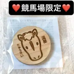 ✨競馬場限定✨ヒノキ　マグネット　馬　雑貨　流星（りゅうせい）❤️限定1点品❤️