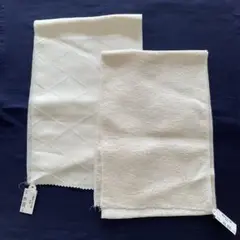 Item thumbnail for item 2607b149-16ee-459a-95ea-f787e6a4a70e