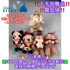 ディズニーリゾートぬいぐるみバッジまとめ売りミッキーダッフィーティガークリスマス