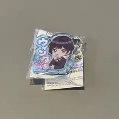 aespa おなまえアクリルバッジ ナムコ限定 ウィンター