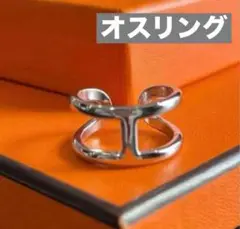 ✨最高級✨至高✨芸能人✨海外セレブ✨シルバーリング✨オス