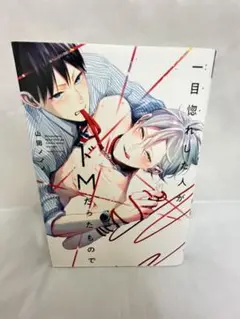 一目惚れした人がドMだったもので