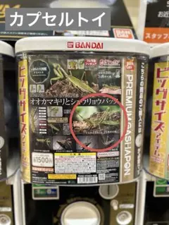 オオカマキリとショウリョウバッタ カプセルトイ ガチャガチャ