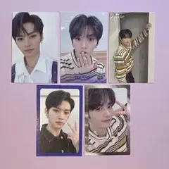 straykids スキズ levanter リノ トレカ コンプ