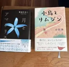 月とアマガリス / 小鳥とリムジン