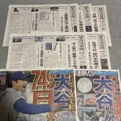 日本経済新聞　ニッカンスポーツ　大谷翔平