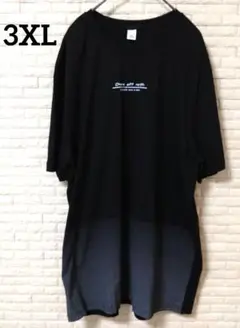 Tシャツ メンズ 半袖 3XL