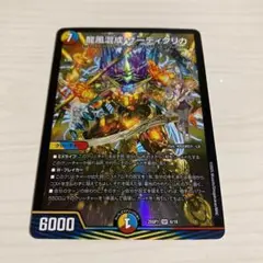 龍風混成 ザーディクリカ ドラゴン娘 1枚