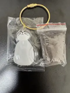 Item thumbnail for item 00611a5f-f0ad-4ddb-ab46-e24407b702ae