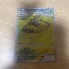 ハヤシガメ　ポケモンカードおまけ付き