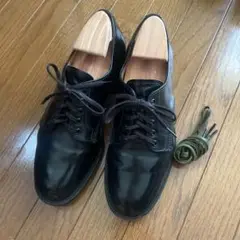 SANDERS FEMALE PLAIN TOE SHOE 1052