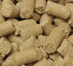 Item thumbnail for item 2874fd45-7592-4488-b891-66fb1003201c