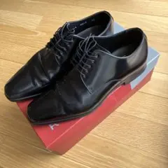 Item thumbnail for item c12f1de8-e989-40e6-bb4b-40c06e116ed2