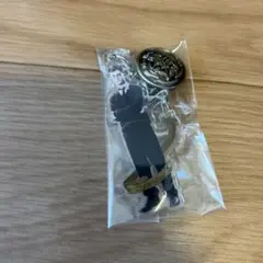 ハリーポッター　アクリルチャームコレクション　ハリー