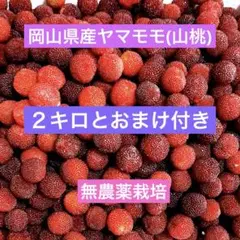 ヤマモモ 1kg 岡山県産 （特大サイズ 500ｇ 中500ｇ）無農薬 やまもも 500グラム 無農薬 - メルカリ
