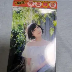 佐倉綾音のクリアファイル