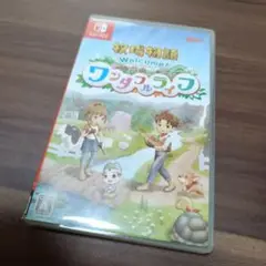 Welcome! ワンダフルライフ Nintendo Switch
