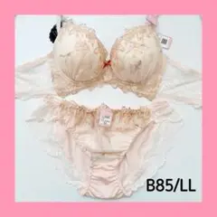 【♡/ラス1/sale】10455OR B85/LL ブラショーツセット