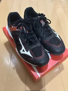 Mizuno WAVE EXCEED EL3 WIDE OC/オムニ・クレー対応