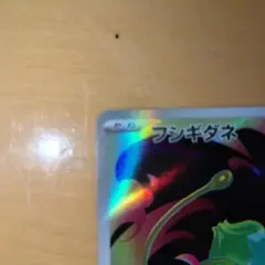 フシギダネ2
