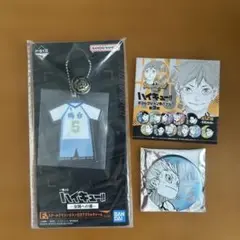 ハイキュー‼︎一番くじアクリルチャーム デコレクション缶バッジ　星海光来