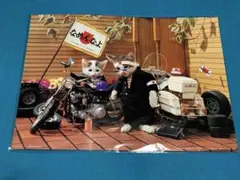 なめ猫　ポスター