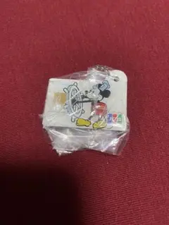 ディズニー JCBカードメタルチャーム シークレット