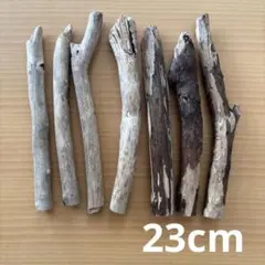 Item thumbnail for item 91a2a566-786e-4998-b16d-a9b764e3b2c0