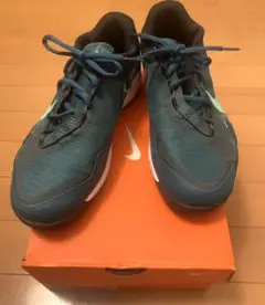 美品!ナイキのテニスシューズ ZOOM VAPOR PRO 26.5cm