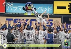 Item thumbnail for item 6714a83c-7626-4656-a0f0-5696b987a8d4