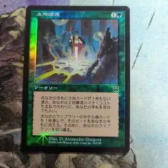 MTG　土地譲渡　旧枠　foil　日本語