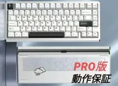 WOB Rainy75 Pro ギャラクティック シルバー 新品