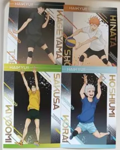 ハイキュー!!アニメイト特典