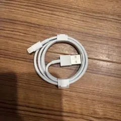 Apple 純正 lightning 充電ケーブル