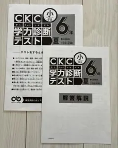 最終値下げ！！　中学生教材網羅！！　アスコン　ナビ個別学院教材一式 2025年最新】ナビ個別指導学院の人気アイテム - メルカリ