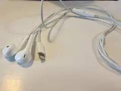 Item thumbnail for item bb909f4a-67f6-4ffe-a55b-254086c7a501