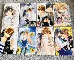 きっと愛だから、いらない 全8巻セット　水瀬　藍　完結