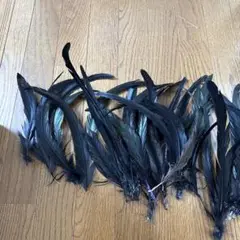 タヒチアン　フェザー　羽根　黒