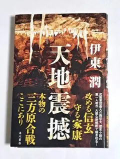 天地震撼