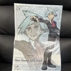 2025年最新】New Hoenn ART Bookの人気アイテム - メルカリ