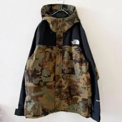 Item thumbnail for item e378b0db-bc95-432e-bcca-0a08340f1e1c